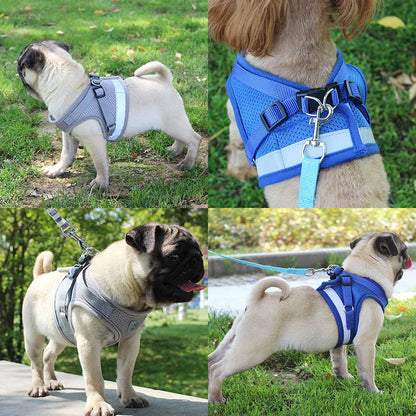 Reflective Safety Pet Dog Harness and Leash Set